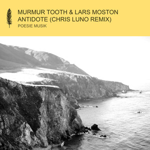 Antidote (Chris Luno Extended Mix)