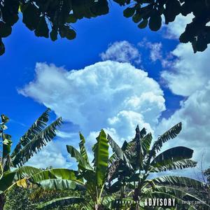 Vibe Bout You (feat. RxseGxld Paris)