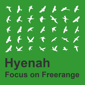 Focus on Freerange: Hyenah