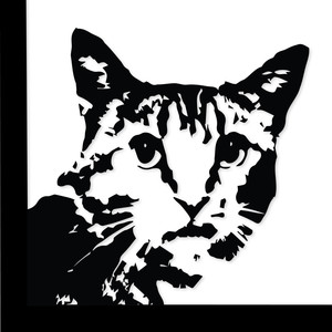 My Name Is (Original Mix)