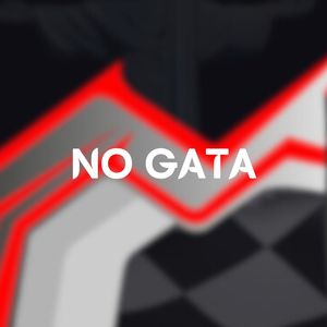 No gata