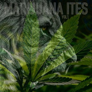 Chalice in a Palm (feat. Promise No Promises) (Broke-N Mix)