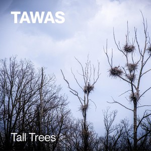 Tawas - Cobwebs, Pt. 1