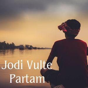 Jodi Vulte Partam