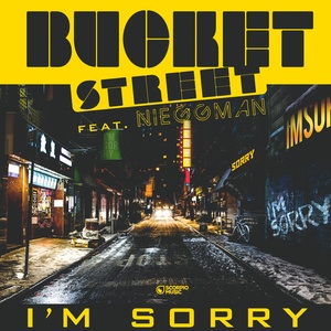 I'm Sorry (Tom Snare Edit)