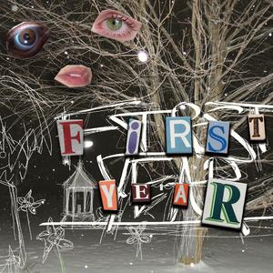 FIRST YEAR (feat. qlein, grolth & sinefelt) (Explicit)