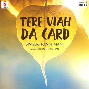 Tere Viah Da Card