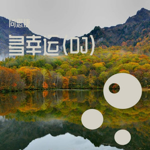 姐姐微信来了 (DJ版)