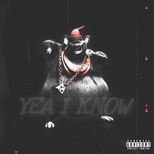 I Think Not (feat. Officialjujuu) (Explicit)