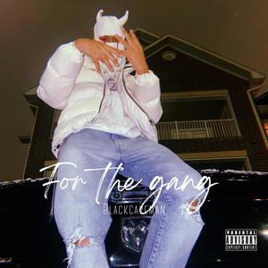 for the gang. (Explicit)