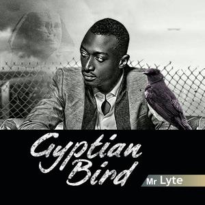 Gyptian Bird