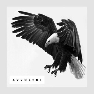 AVVOLTOI (Explicit)