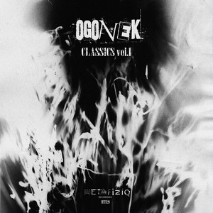 The Saltshaker(vip 2012)(Solnicata)