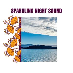 Sparkling Night Sound