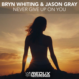 Never Give Up On You (Extended Mix)