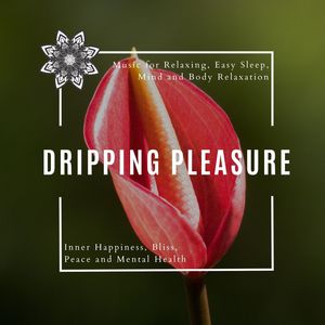 Dripping Pleasure (Music For Relaxing, Easy Sleep, Mind And Body Relaxation) (Inner Happiness, Bliss, Peace And Mental Health)