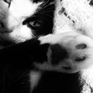 You’re My Best Friend，But I Love You