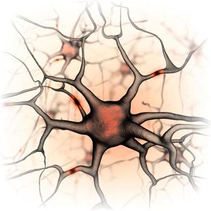 Burqa Bad (feat. KINGXMAGS & Ayleen Aletse) (You The Bomb) (Explicit)