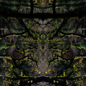 Enigma of the Sonic Jungle