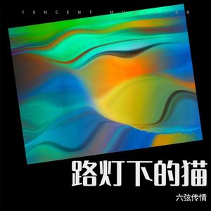 路灯下的猫