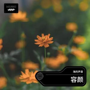 容颜 (Live)封面