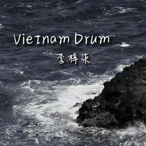 Vietnam Drum (硬曲DJ版)