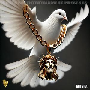 Open Your Wings (feat. D.ShaLee) (Explicit)
