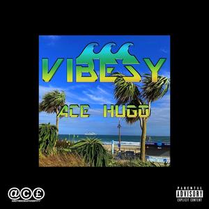 Vibesy (Explicit)