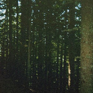 allure (bandages) (Explicit)