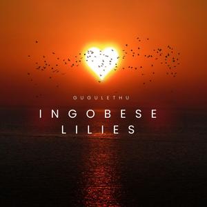 INGOBESE-LILIES