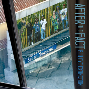 After The Fact (single)