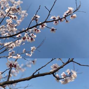 这一生关于你的风景