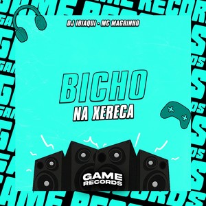 Bicho Na Xereca (Explicit)