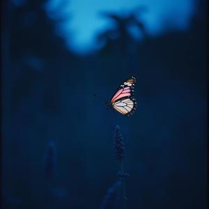 Lost In Blue
