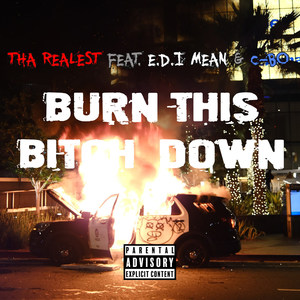 Burn This ***** Down (Explicit)