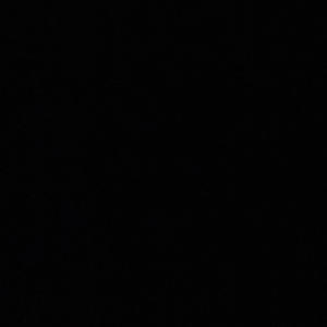 L1l_Terry - Fly (Explicit)