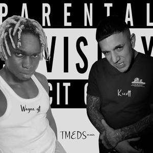 TMEDS (feat. K-$cott) (Remix|Explicit)