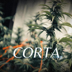 Corta (Explicit)
