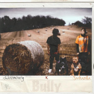 Bully (feat. Jarbazilla) [Explicit]