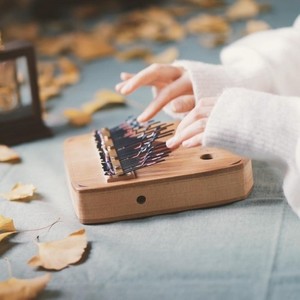 哈利波特主题曲 (Hedwig's Theme) (卡林巴琴/拇指琴)