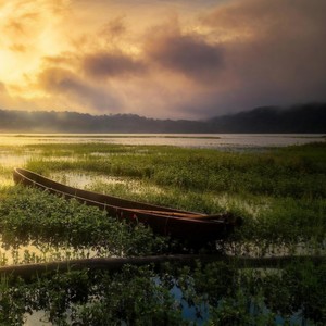 沉迷乐队 - 你还好吗