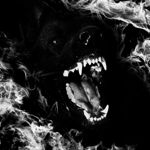 Fluctuating Asymmetry