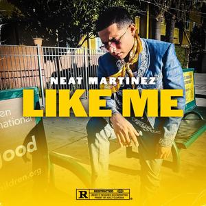 Like Me (Explicit)