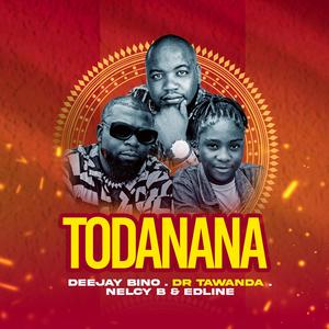 Todanana (feat. Dr Tawanda, Nelcy B & Edline)