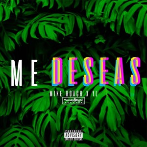 Me Deseas(feat. Yl)