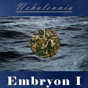 Embryon I