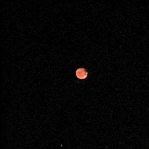 Waited (feat. Lil rodney) (Explicit)