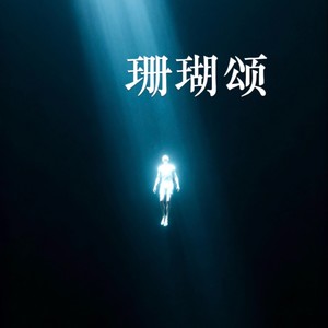 抖抖 - wite (纯享版)