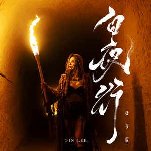 白夜行 (极夜版)