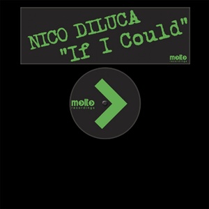 If I Could (Nico DiLuca & Chris Nasty Radio Edit)